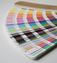 Wanna wolnostojąca Ravon Tulipano z masażem powietrznym i chromoterapią, bikolor